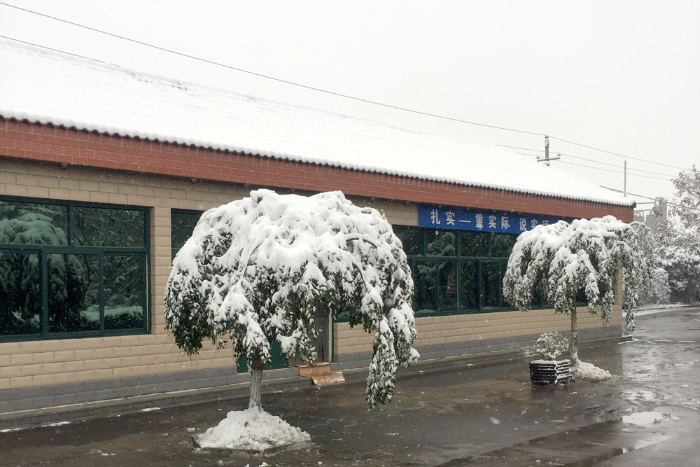 2016年11月23日天降大雪，雪景中的运力化工办公室